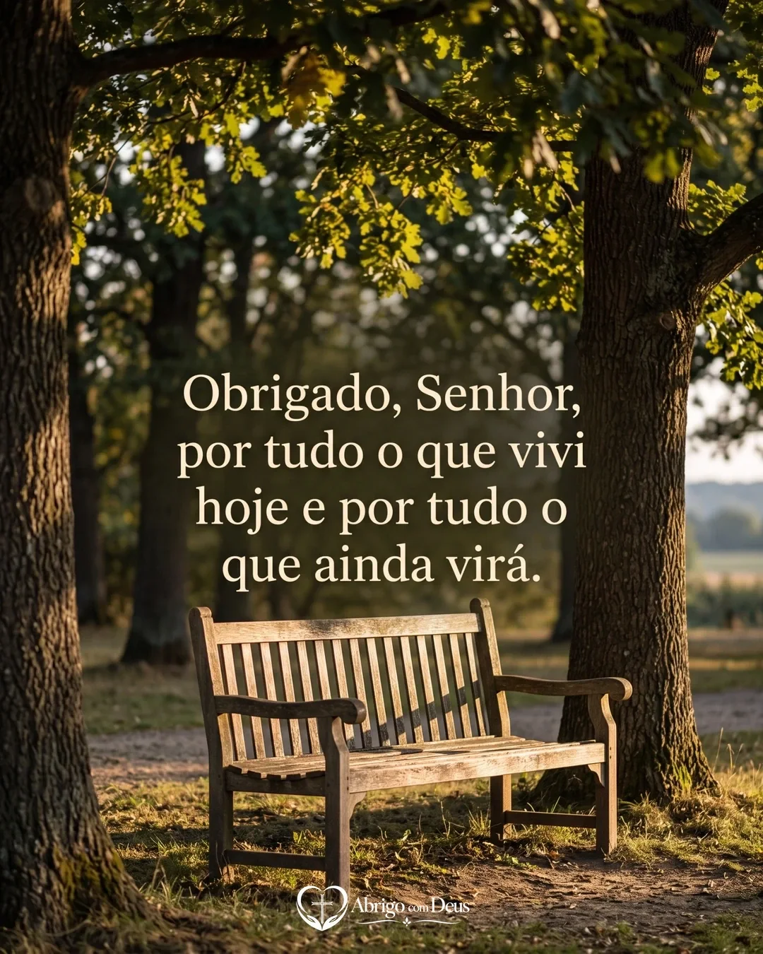 Cartão com banco de madeira sob árvores e a frase “Obrigado, Senhor, por tudo o que vivi hoje e por tudo o que ainda virá.”