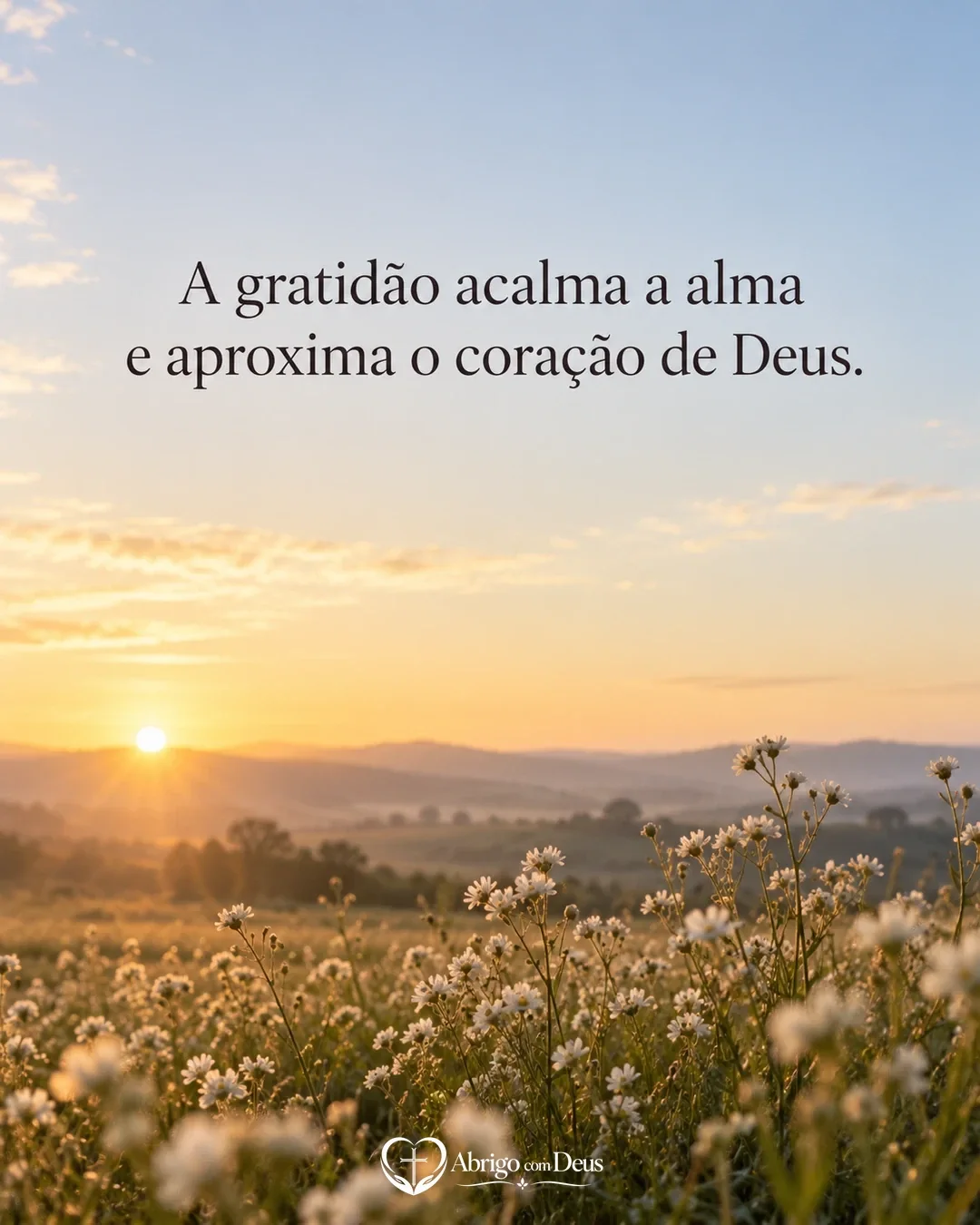 Cartão com campo de flores brancas ao amanhecer e a frase “A gratidão acalma a alma e aproxima o coração de Deus.”