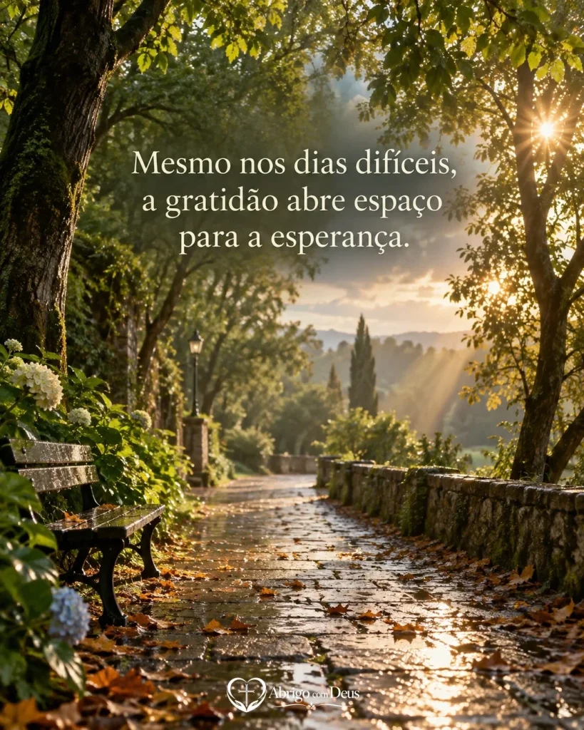 Cartão com caminho molhado entre árvores após a chuva e a frase “Mesmo nos dias difíceis, a gratidão abre espaço para a esperança.”