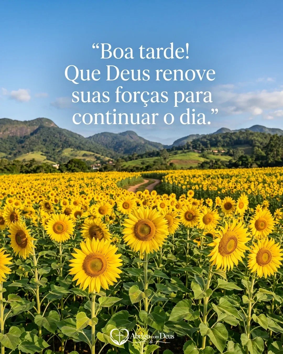 Cartão de boa tarde com campo de girassóis e montanhas ao fundo e a frase “Boa tarde! Que Deus renove suas forças para continuar o dia.”