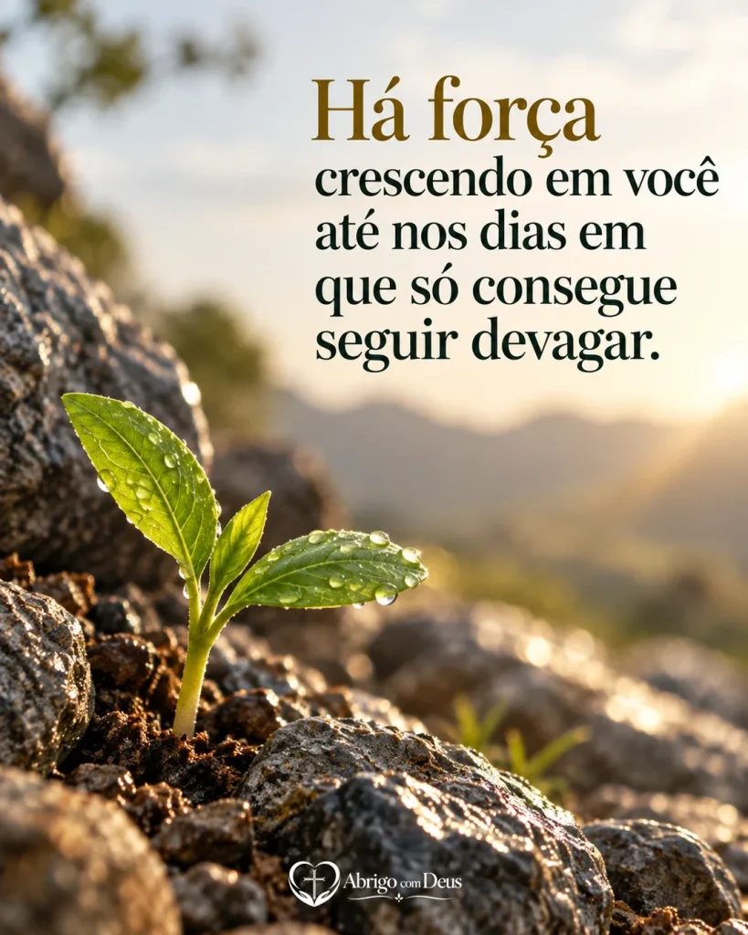 Cartão de animar alguém com broto verde nascendo entre pedras e a mensagem “Há força crescendo em você até nos dias em que só consegue seguir devagar.”