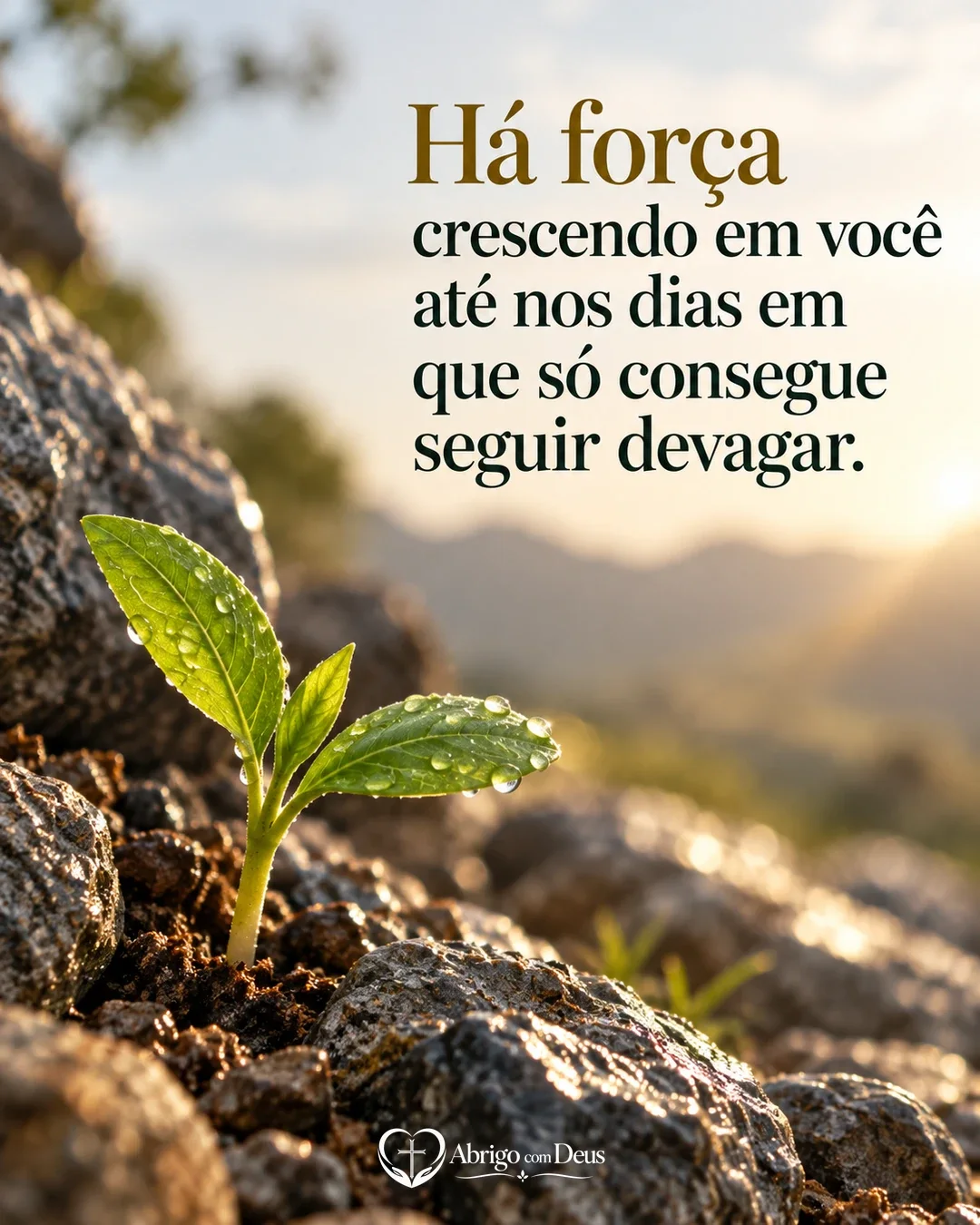 Cartão de animar alguém com broto verde nascendo entre pedras e a mensagem “Há força crescendo em você até nos dias em que só consegue seguir devagar.”
