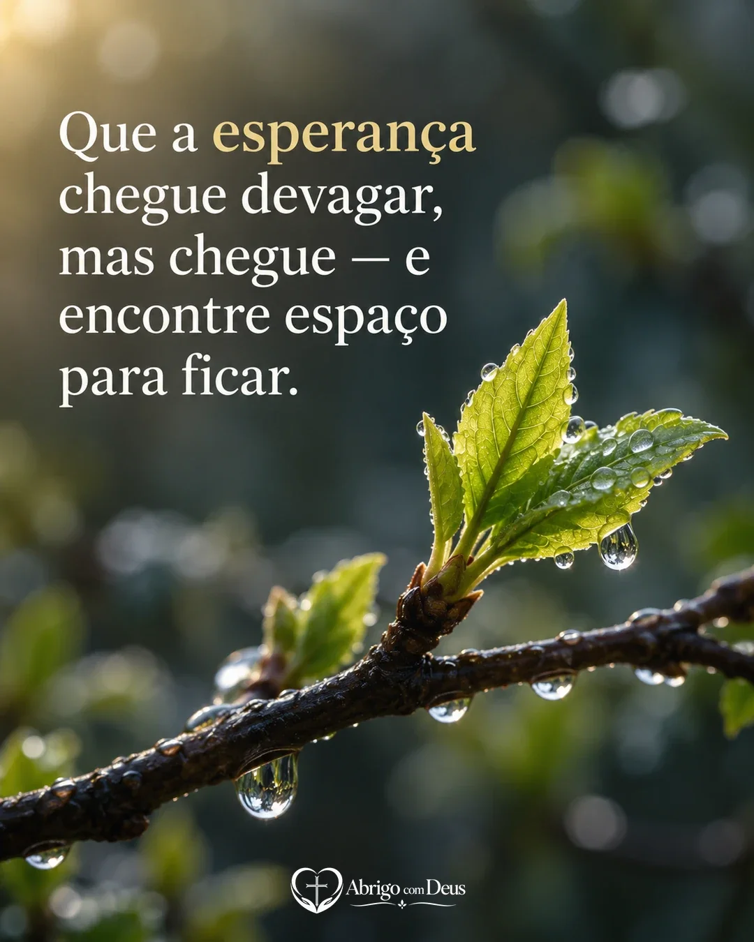 Cartão de consolar com folhas verdes com gotas de água e a mensagem “Que a esperança chegue devagar, mas chegue — e encontre espaço para ficar.”