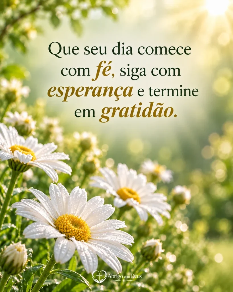Cartão com margaridas brancas iluminadas pela manhã e mensagem sobre começar o dia com fé, esperança e gratidão.